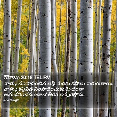 యోబు 20:18 TELIRV Bible Verse Image