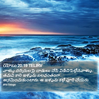 యోబు 20:19 TELIRV Bible Verse Image