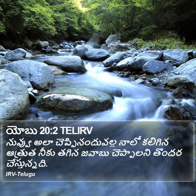 యోబు 20:2 TELIRV Bible Verse Image