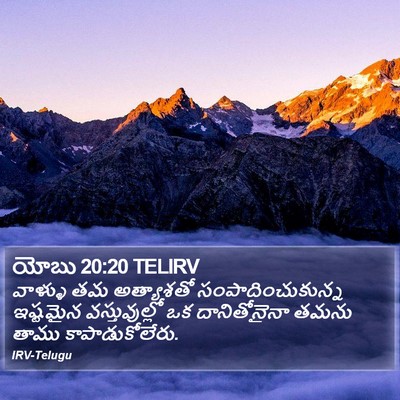 యోబు 20:20 TELIRV Bible Verse Image