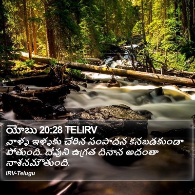 యోబు 20:28 TELIRV Bible Verse Image