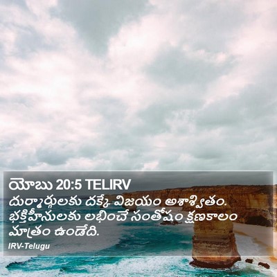 యోబు 20:5 TELIRV Bible Verse Image
