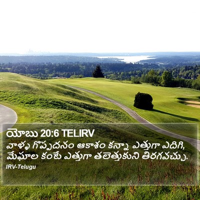 యోబు 20:6 TELIRV Bible Verse Image