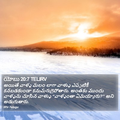 యోబు 20:7 TELIRV Bible Verse Image