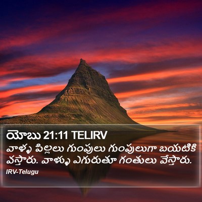 యోబు 21:11 TELIRV Bible Verse Image