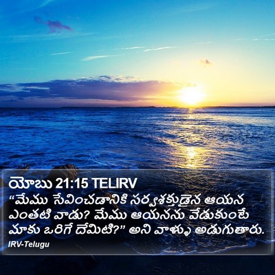 యోబు 21:15 TELIRV Bible Verse Image