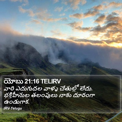 యోబు 21:16 TELIRV Bible Verse Image
