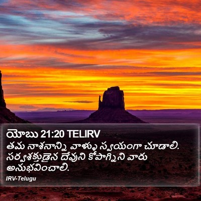 యోబు 21:20 TELIRV Bible Verse Image