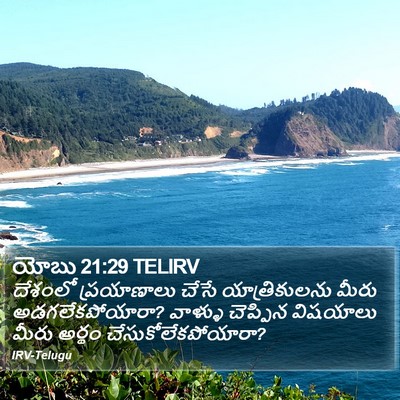 యోబు 21:29 TELIRV Bible Verse Image