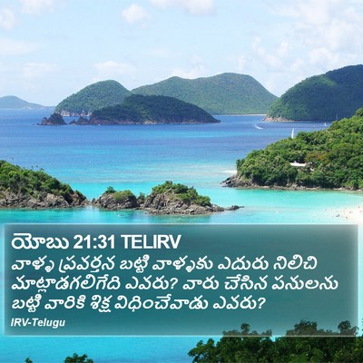 యోబు 21:31 TELIRV Bible Verse Image