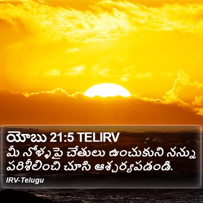 యోబు 21:5 TELIRV Bible Verse Image