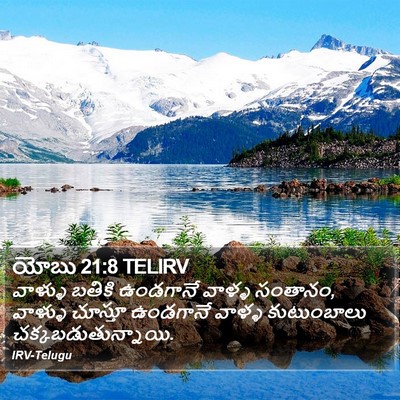 యోబు 21:8 TELIRV Bible Verse Image