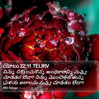 యోబు 22:11 TELIRV Bible Verse Image
