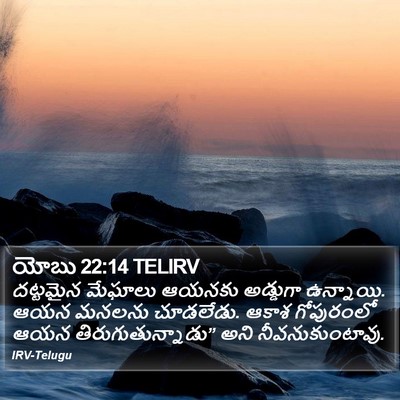యోబు 22:14 TELIRV Bible Verse Image