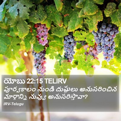 యోబు 22:15 TELIRV Bible Verse Image