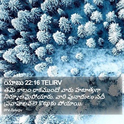 యోబు 22:16 TELIRV Bible Verse Image