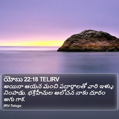 యోబు 22:18 TELIRV Bible Verse Image