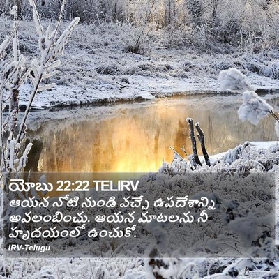 యోబు 22:22 TELIRV Bible Verse Image