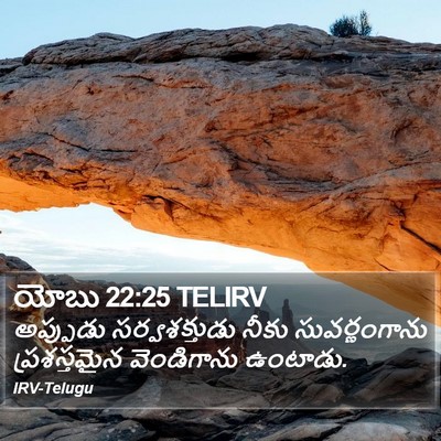 యోబు 22:25 TELIRV Bible Verse Image