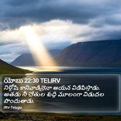 యోబు 22:30 TELIRV Bible Verse Image