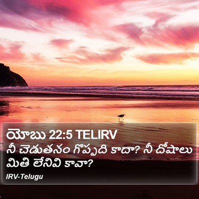 యోబు 22:5 TELIRV Bible Verse Image