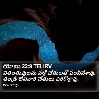 యోబు 22:9 TELIRV Bible Verse Image