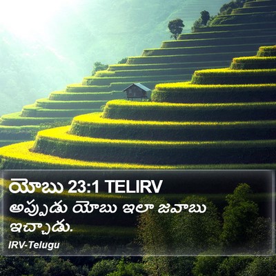 యోబు 23:1 TELIRV Bible Verse Image