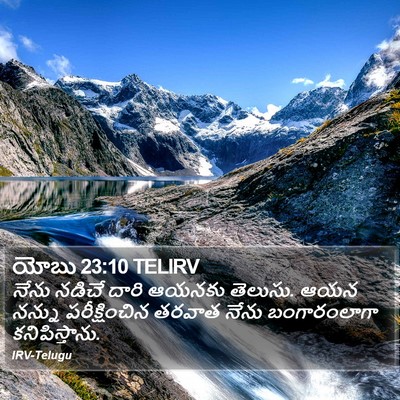 యోబు 23:10 TELIRV Bible Verse Image