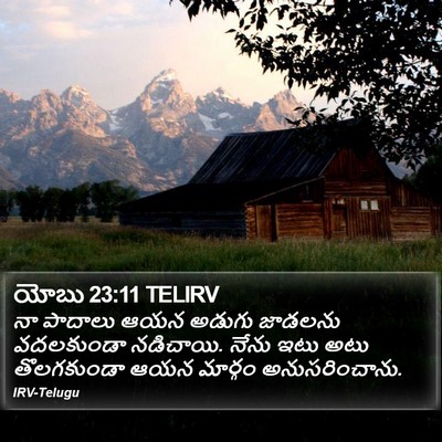 యోబు 23:11 TELIRV Bible Verse Image