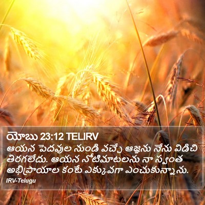 యోబు 23:12 TELIRV Bible Verse Image