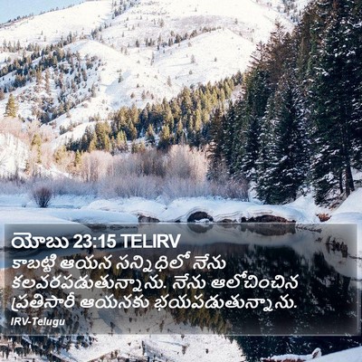 యోబు 23:15 TELIRV Bible Verse Image