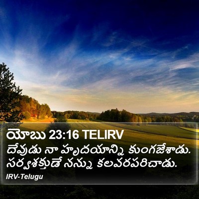 యోబు 23:16 TELIRV Bible Verse Image