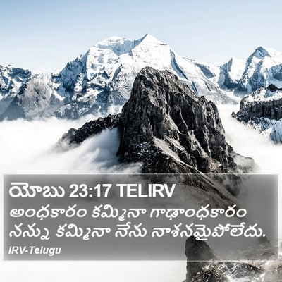 యోబు 23:17 TELIRV Bible Verse Image