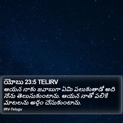 యోబు 23:5 TELIRV Bible Verse Image
