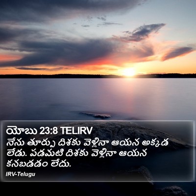 యోబు 23:8 TELIRV Bible Verse Image
