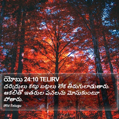 యోబు 24:10 TELIRV Bible Verse Image