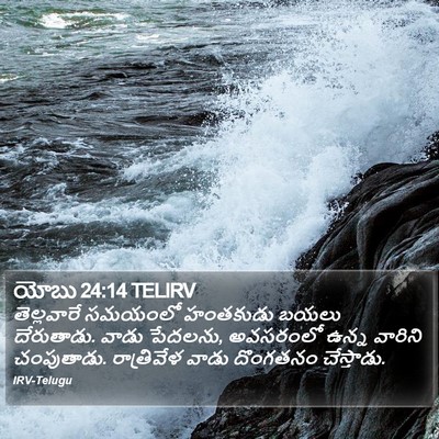 యోబు 24:14 TELIRV Bible Verse Image