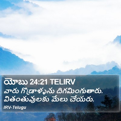 యోబు 24:21 TELIRV Bible Verse Image