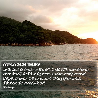 యోబు 24:24 TELIRV Bible Verse Image