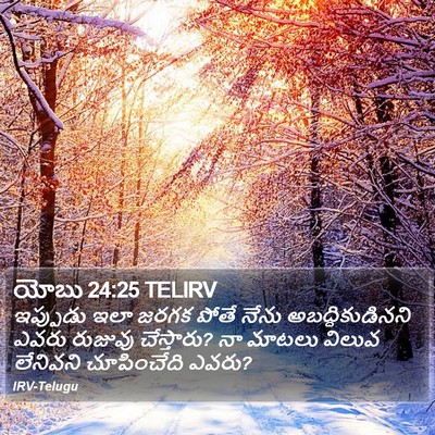 యోబు 24:25 TELIRV Bible Verse Image