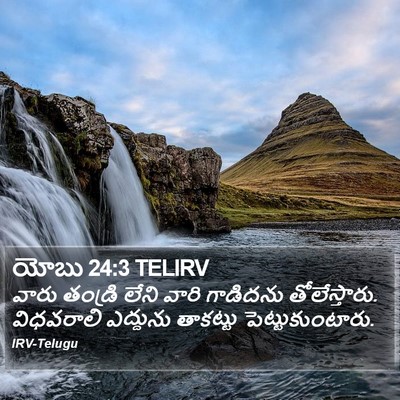 యోబు 24:3 TELIRV Bible Verse Image