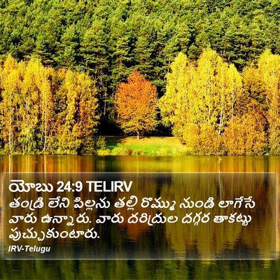 యోబు 24:9 TELIRV Bible Verse Image