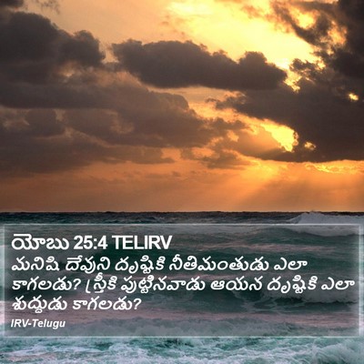 యోబు 25:4 TELIRV Bible Verse Image