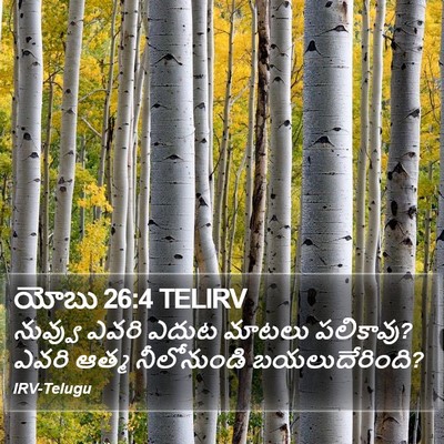 యోబు 26:4 TELIRV Bible Verse Image