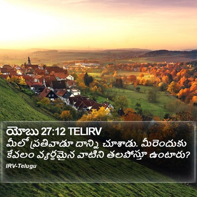 యోబు 27:12 TELIRV Bible Verse Image