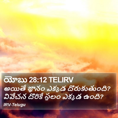యోబు 28:12 TELIRV Bible Verse Image