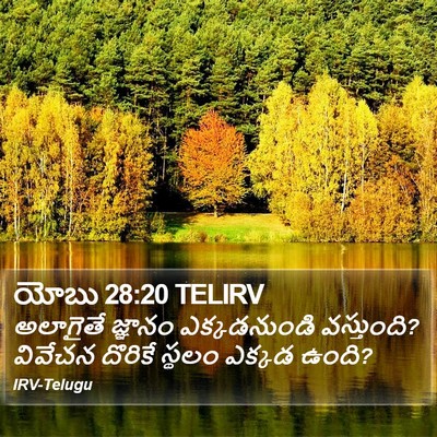 యోబు 28:20 TELIRV Bible Verse Image