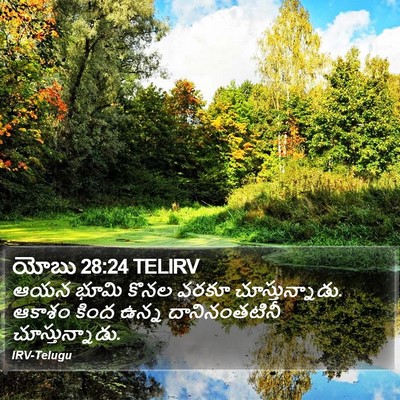 యోబు 28:24 TELIRV Bible Verse Image