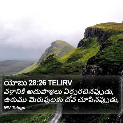 యోబు 28:26 TELIRV Bible Verse Image