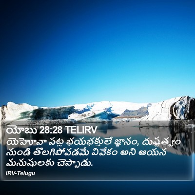 యోబు 28:28 TELIRV Bible Verse Image